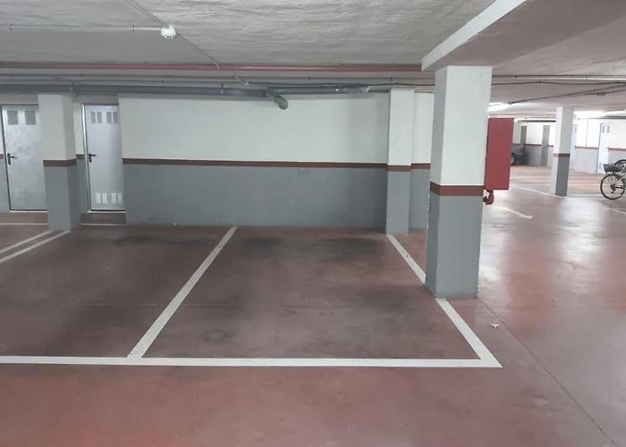 Anacasa Estrella De Mar Marineta Ap3215 *